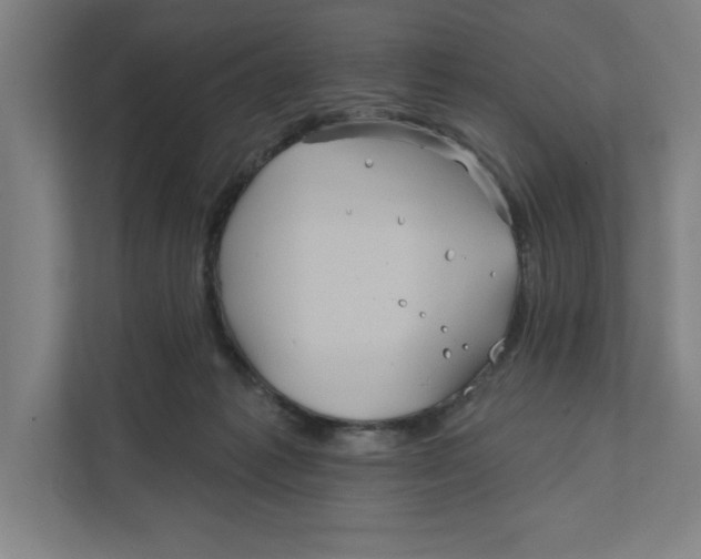 X0000111820221200908201137
