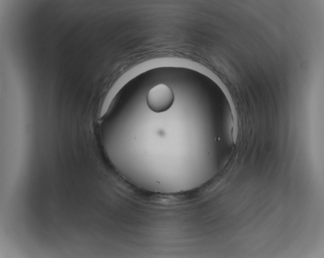 X0000111820229200908201137