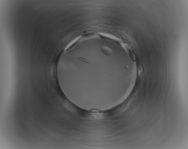 X0000111820233200908201137