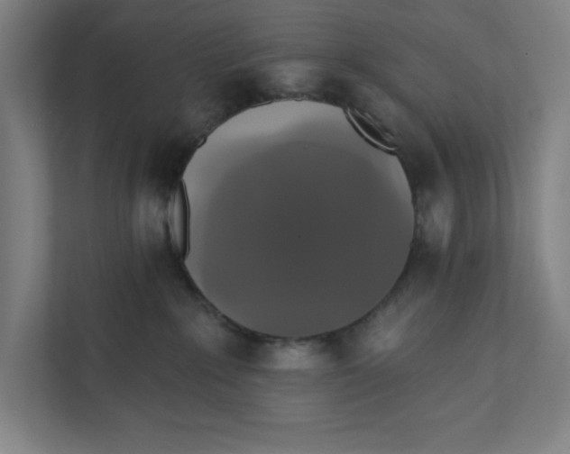 X0000111820235200908201137
