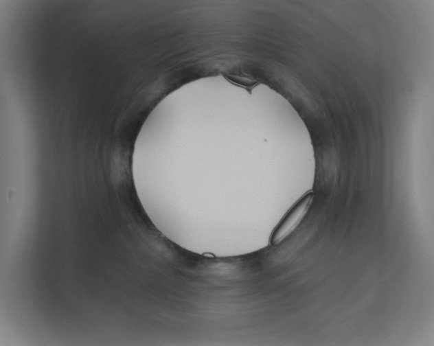 X0000111820236200908201137