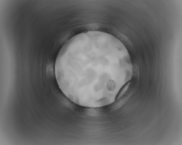 X0000111820238200908201137