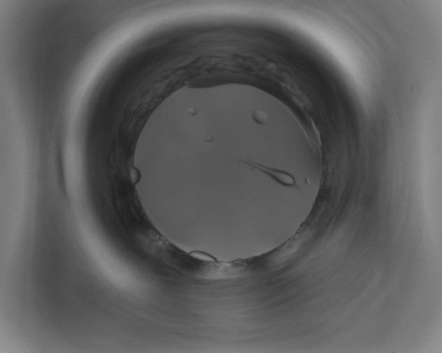 X0000111820239200908201137