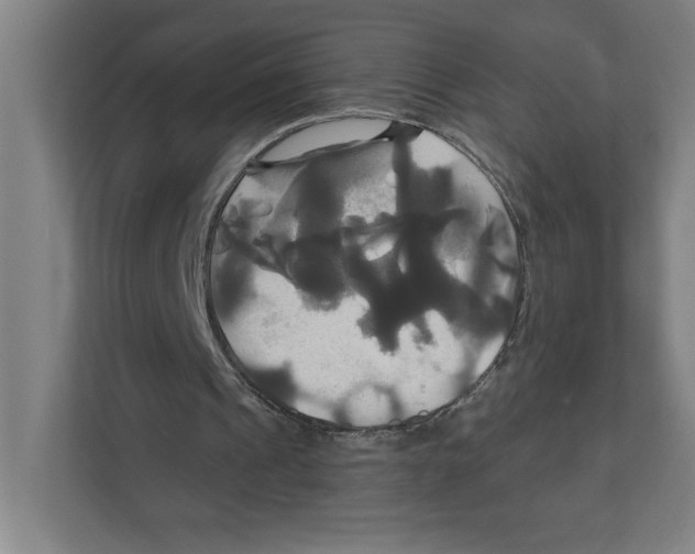 X0000111820241200908201136