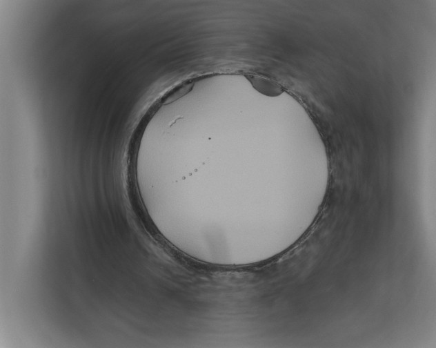 X0000111820242200908201136