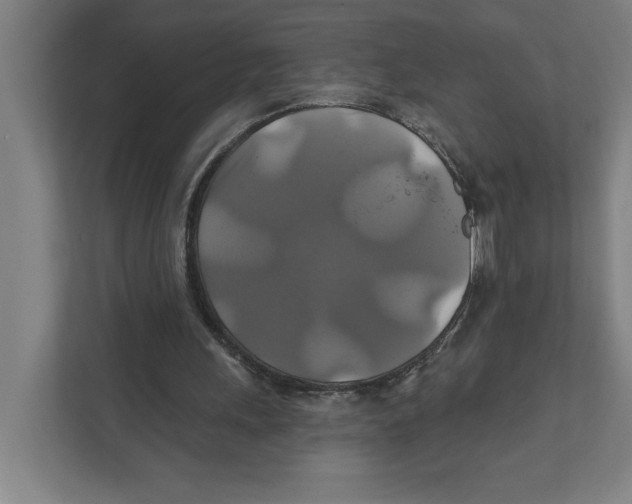 X0000111820243200908201136