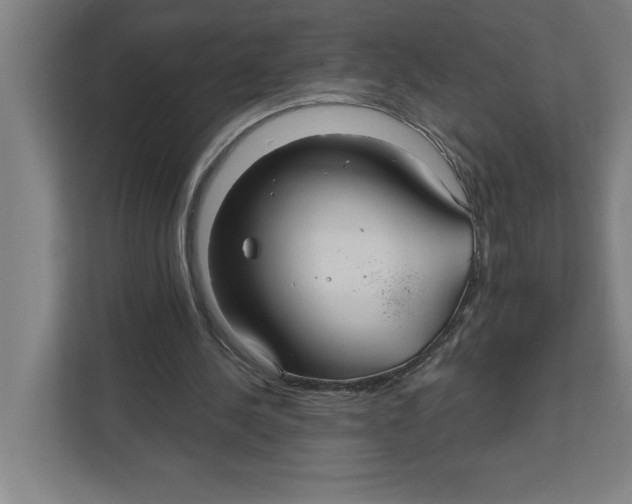X0000111820244200908201136
