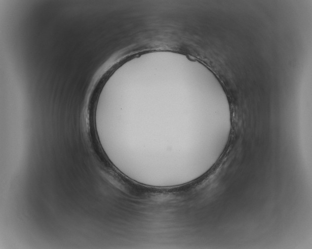 X0000111820246200908201136