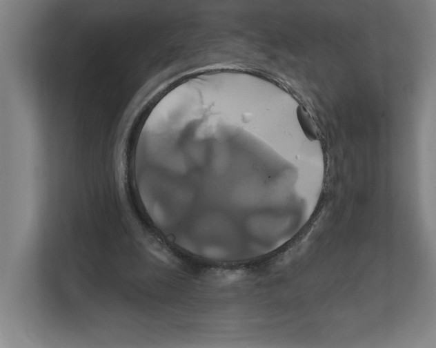X0000111820247200908201136