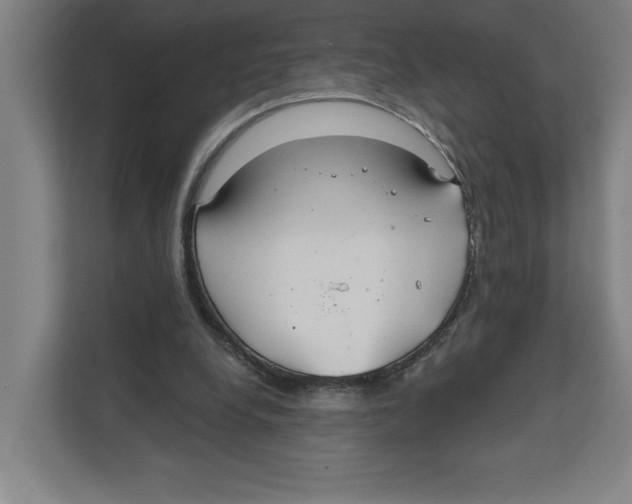 X0000111820248200908201136