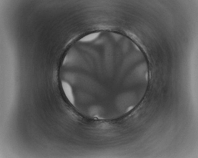 X0000111820249200908201136