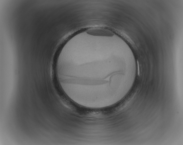 X0000111820252200908201136
