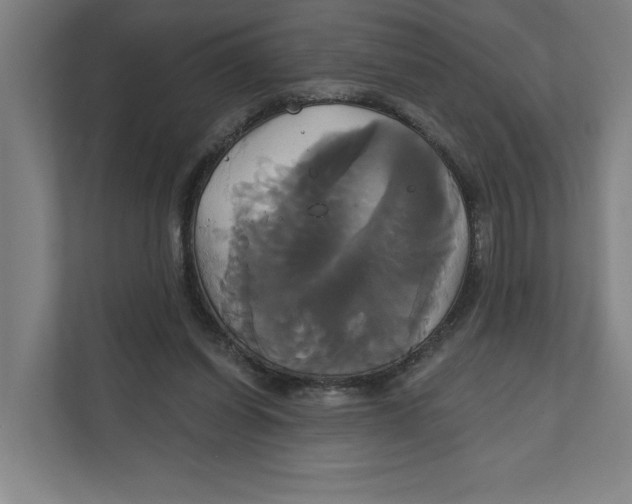 X0000111820254200908201136