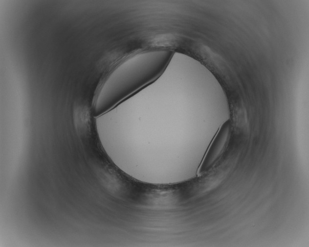 X0000111820260200908201136