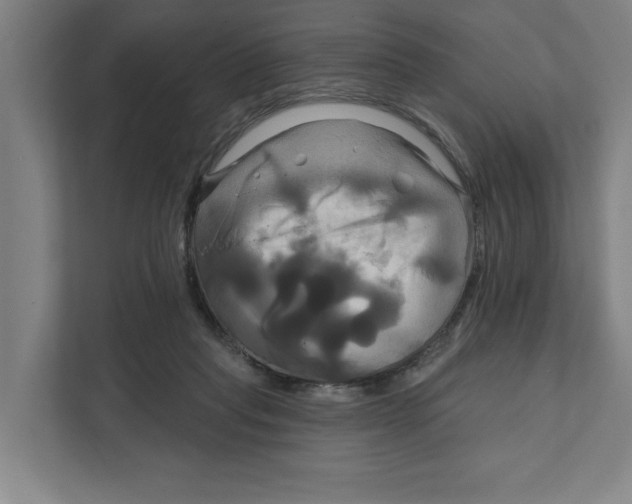 X0000111820261200908201136