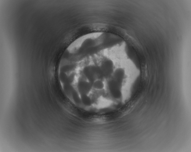 X0000111820263200908201136