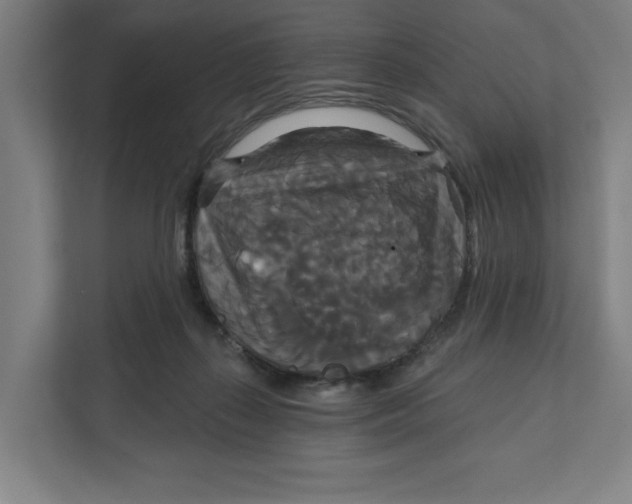 X0000111820267200908201136