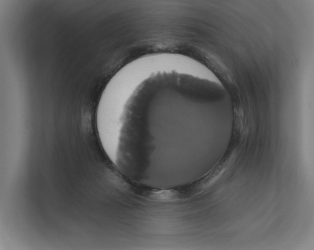 X0000111820269200908201137