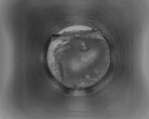 X0000111820270200908201137