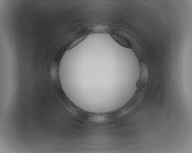 X0000111820276200908201137