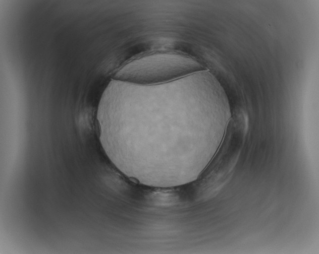 X0000111820280200908201137