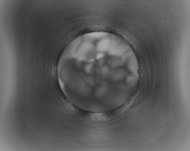 X0000111820281200908201137