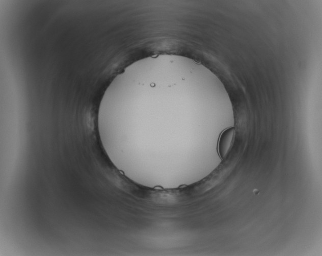 X0000111820282200908201137