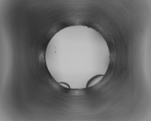 X0000111820286200908201137
