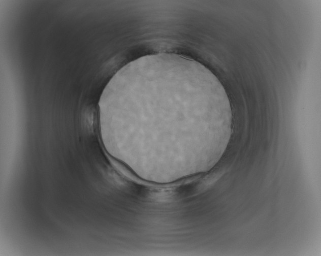 X0000111820288200908201137