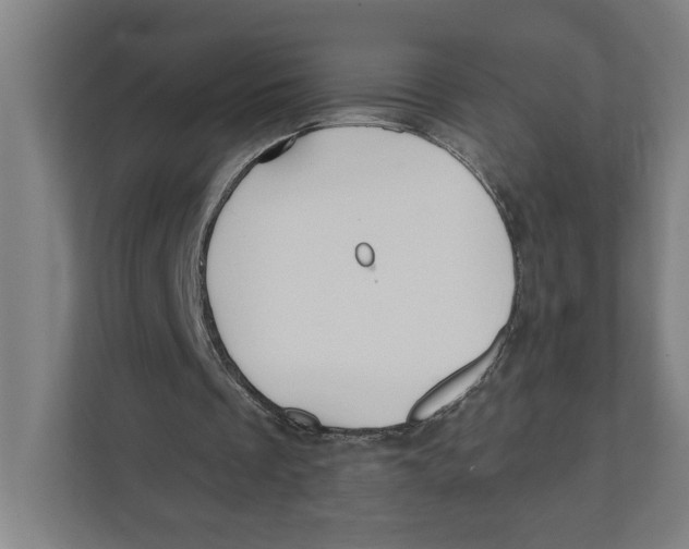 X0000111820289200908201136