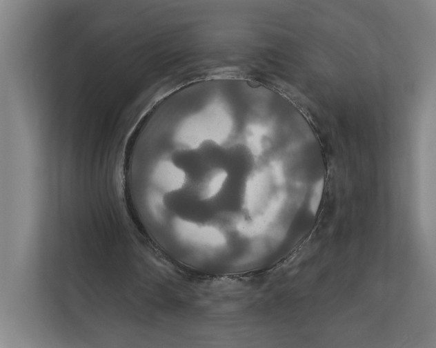 X0000111820290200908201136