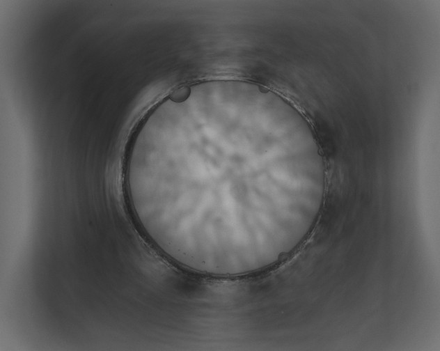 X0000111820293200908201136