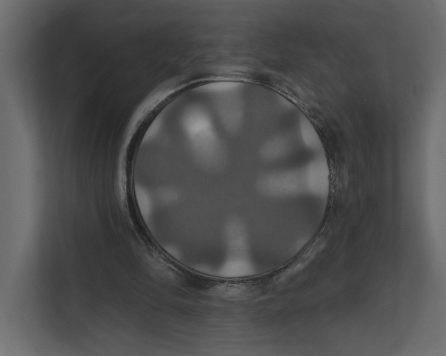 X0000111820294200908201136