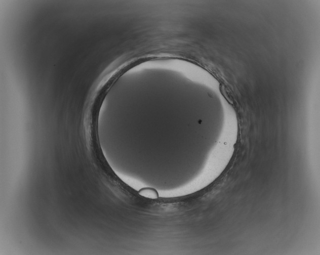 X0000111820295200908201136