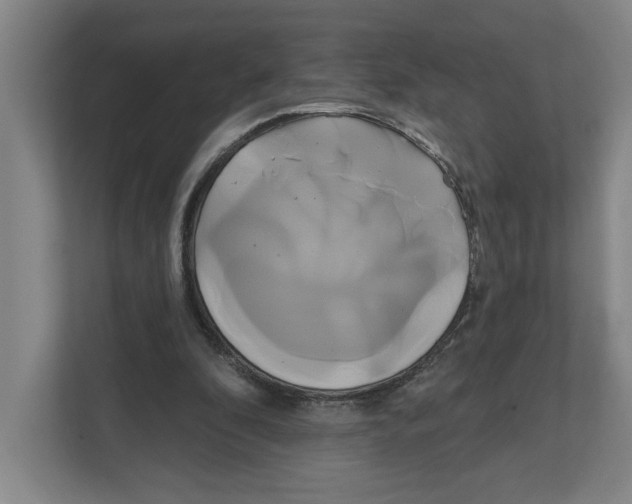 X0000111820296200908201136