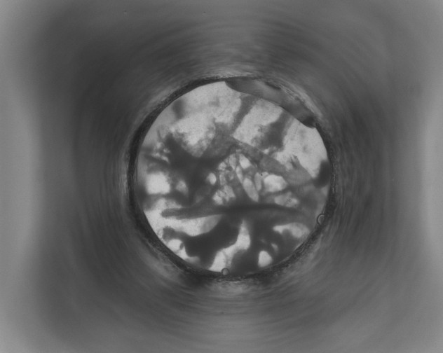 X0000111820299200908201136