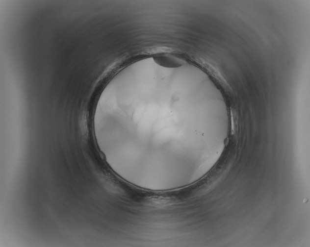 X0000111820300200908201136