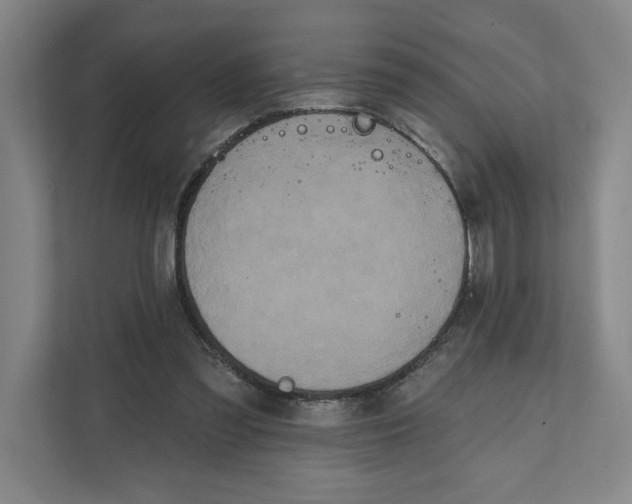 X0000111820301200908201136