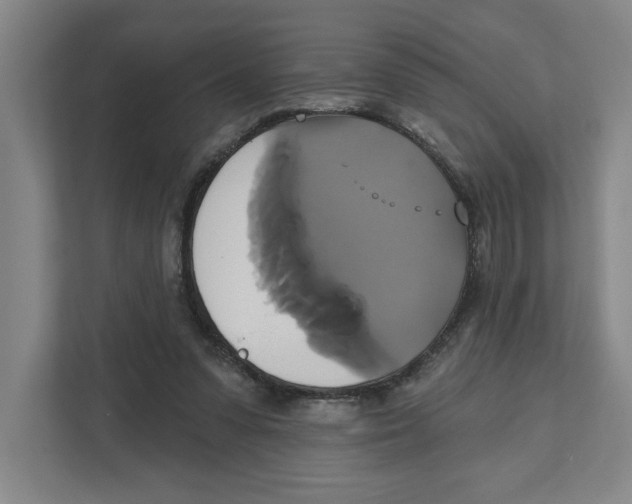 X0000111820303200908201136