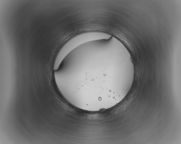 X0000111820309200908201136