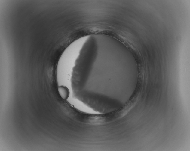 X0000111820319200908201136