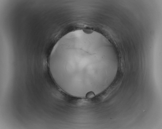 X0000111820320200908201136