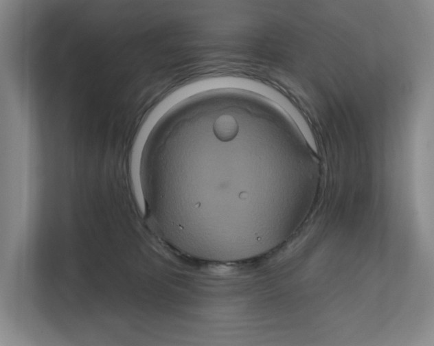 X0000111820325200908201136