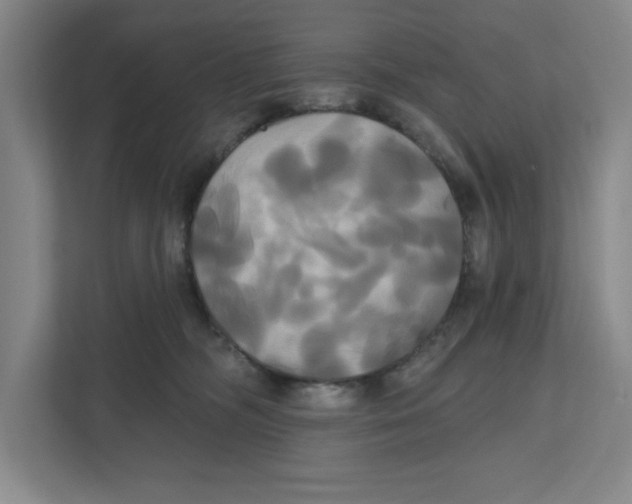 X0000111820326200908201136