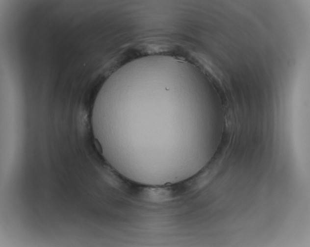 X0000111820327200908201136