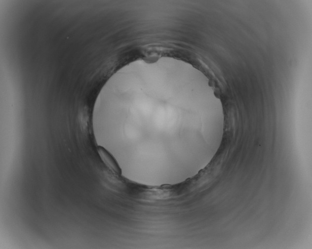 X0000111820328200908201136