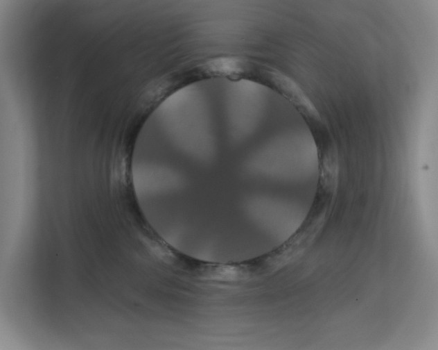 X0000111820330200908201136