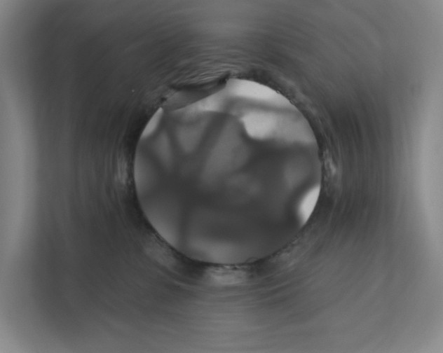 X0000111820331200908201136