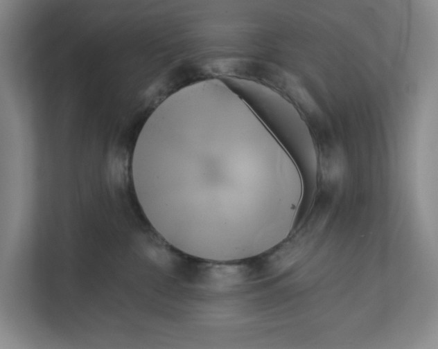 X0000111820332200908201136