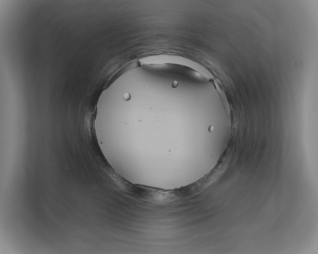 X0000111820333200908201136